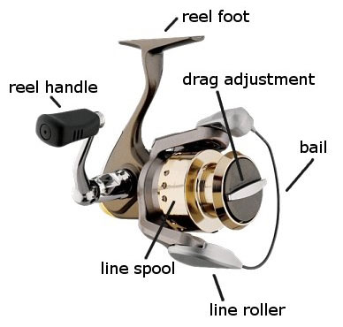 https://thereeldr.com/images/decorations/top-spin-fishing-reel.JPG